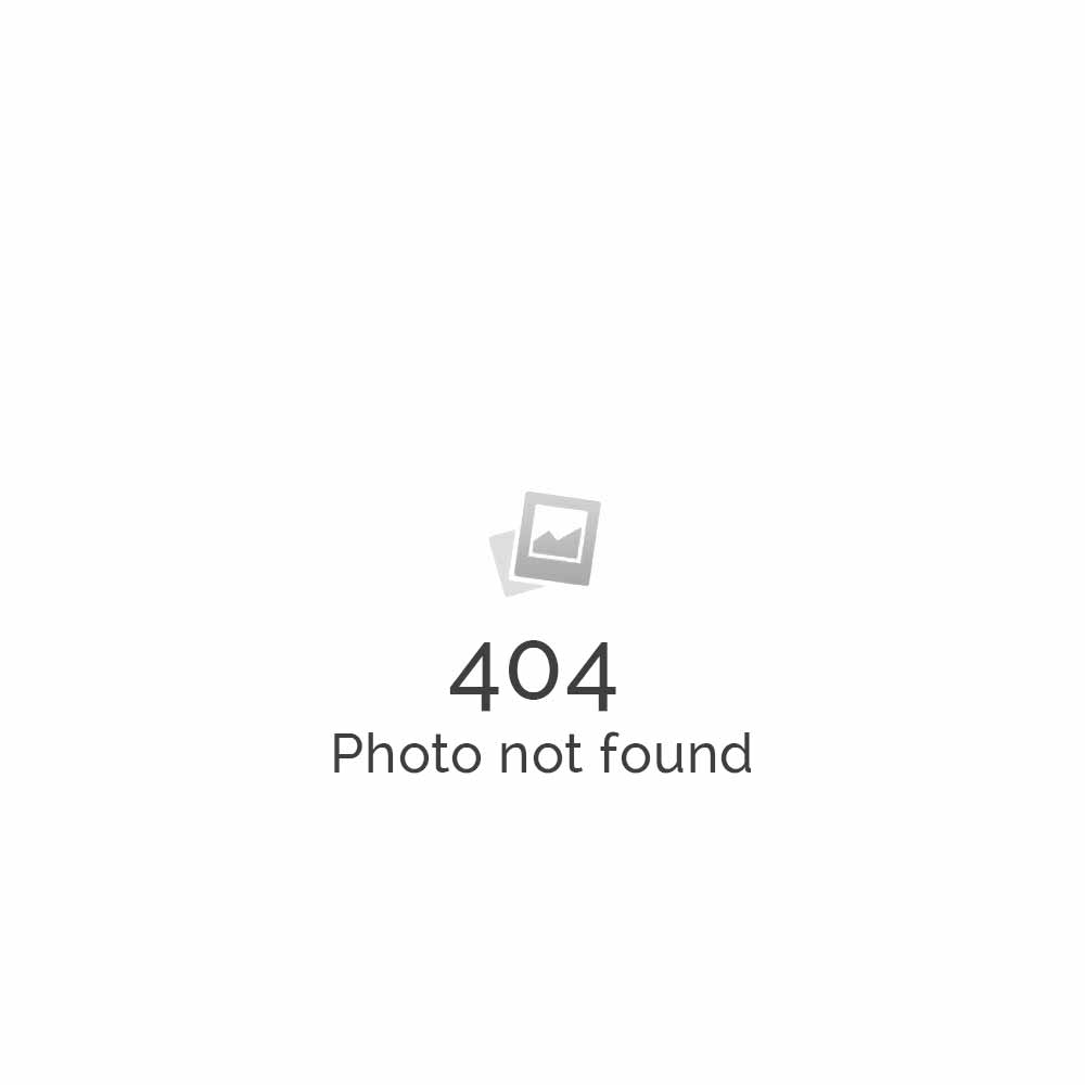 Basic-Five Pages Website-$399 ONLY